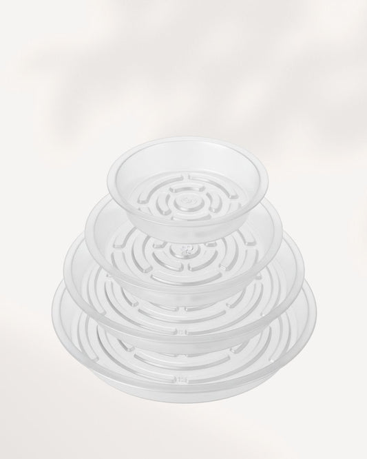 Plant Saucer
