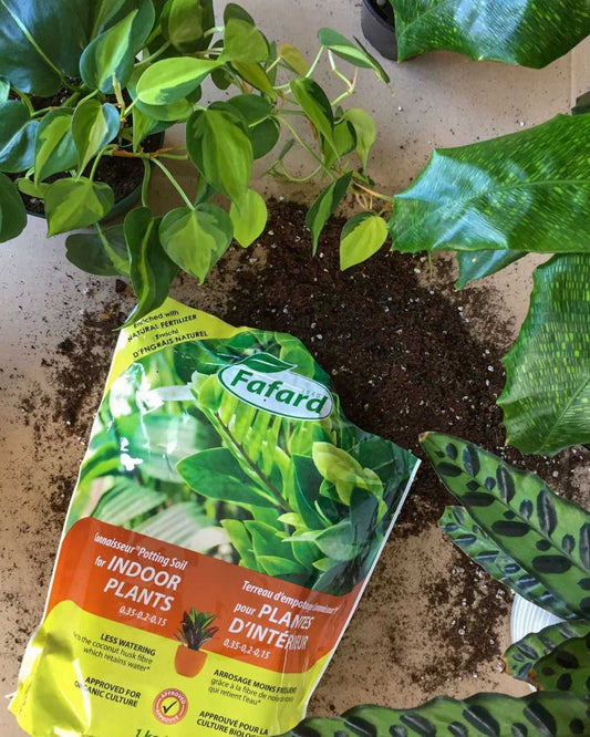 Indoor Plant Potting Mix Connaisseur® 5L - Potting Soil Connaisseur®