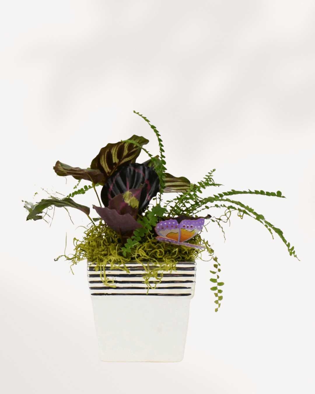 Large Bianca Tropical Arrangement Square
