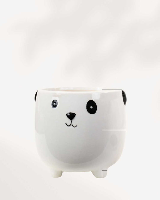 Animal Pot Collection Cat