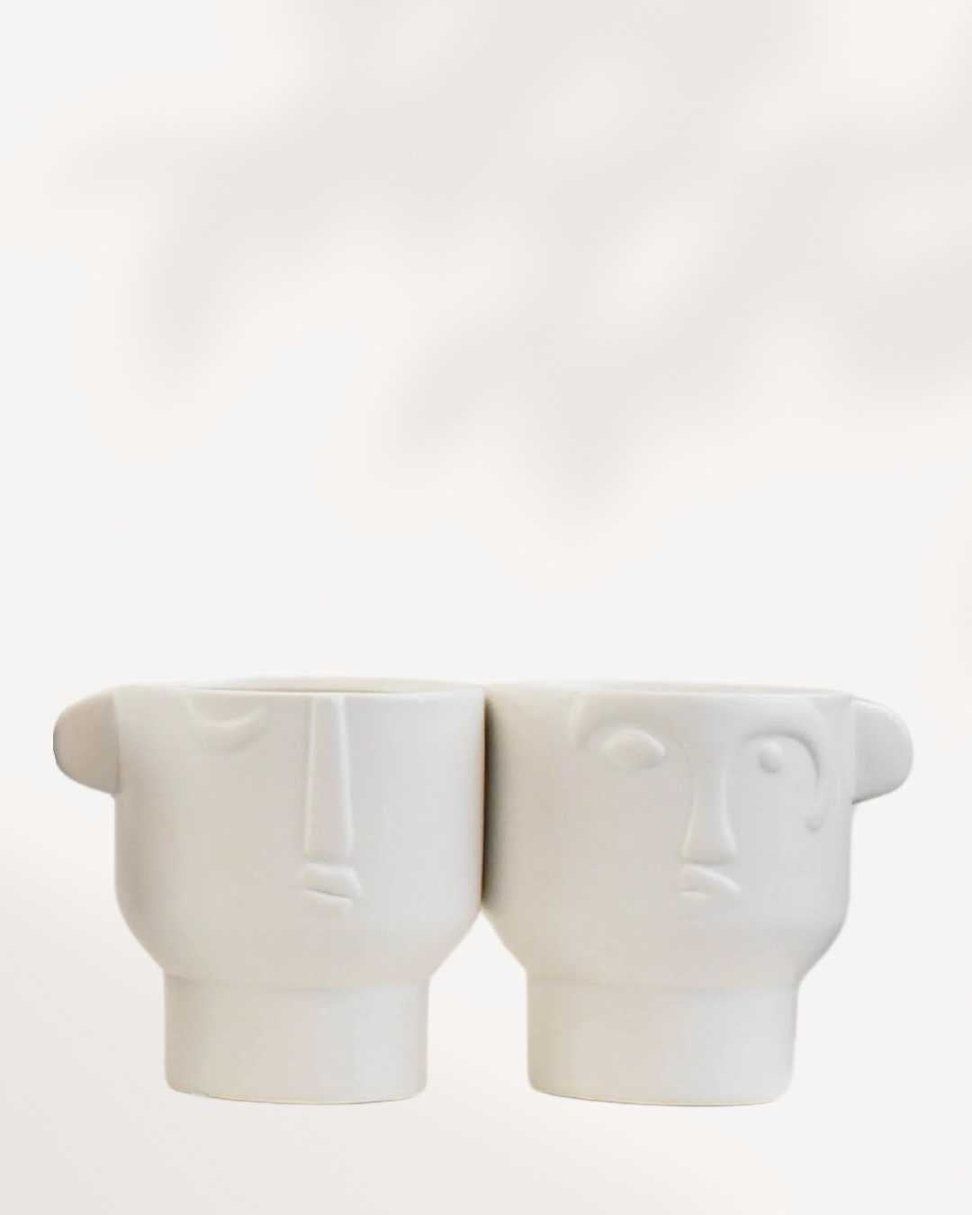Large Vivienne Face Pot White Fit 4" Pot