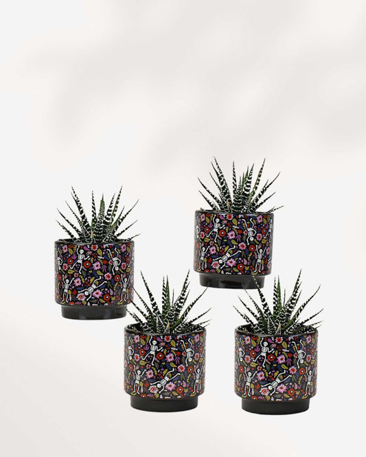 Day of the Dead Pot