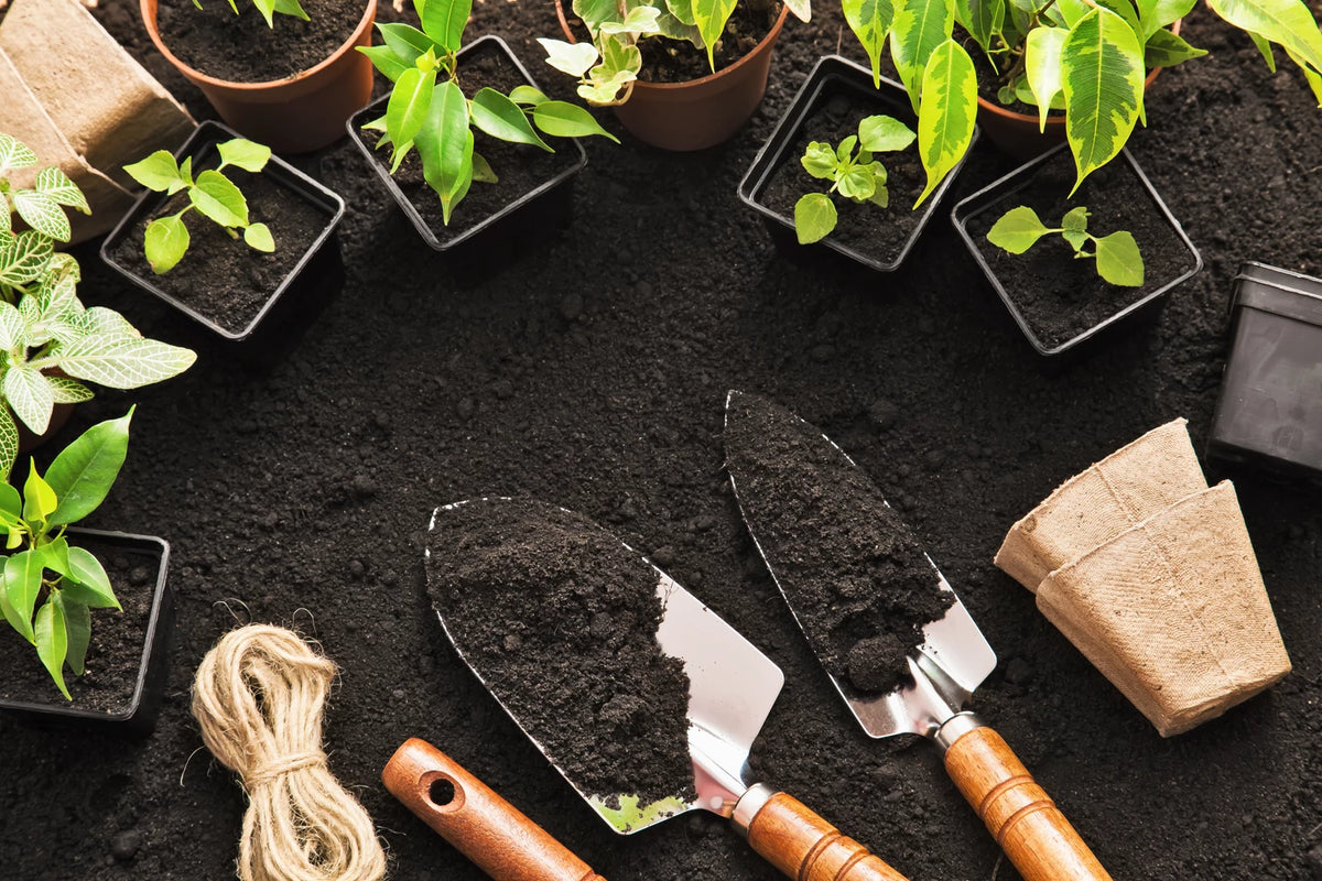 indoor-gardening-accessories