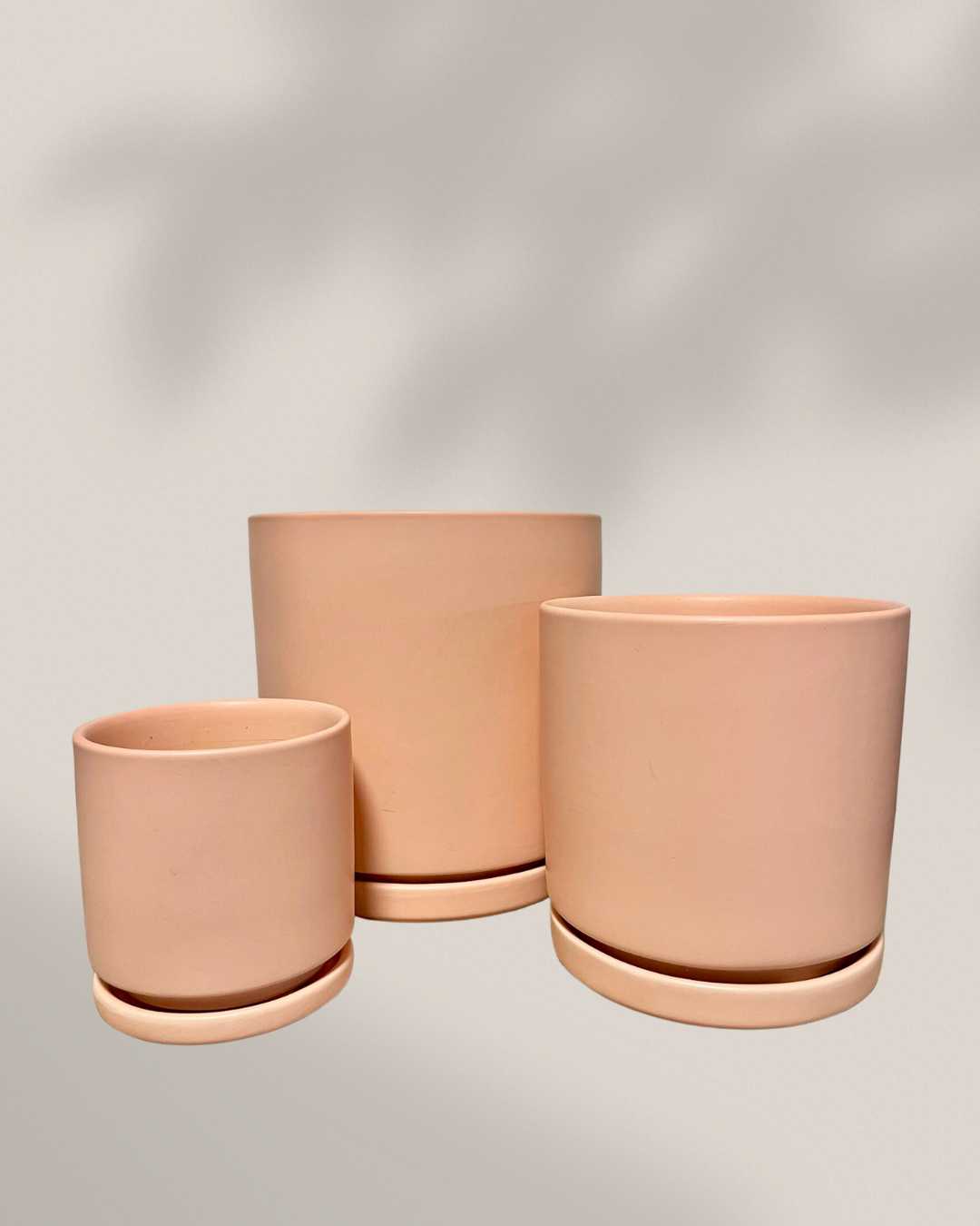 Small Pot & Planter