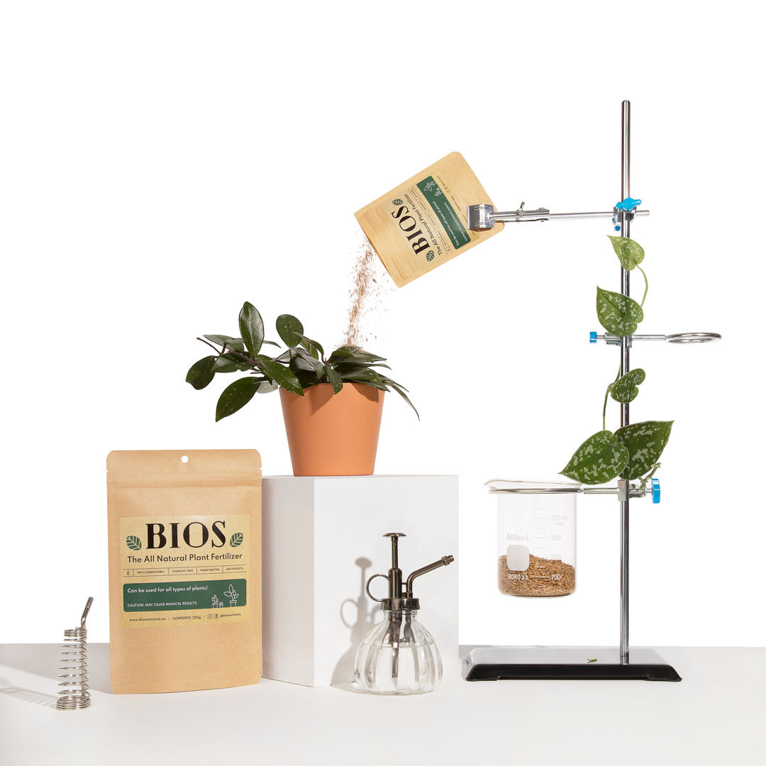 Soil & Fertilizer