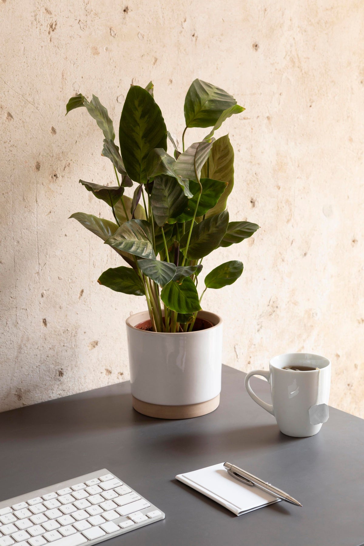 Sustainable Gifting Solutions for Every Occasion