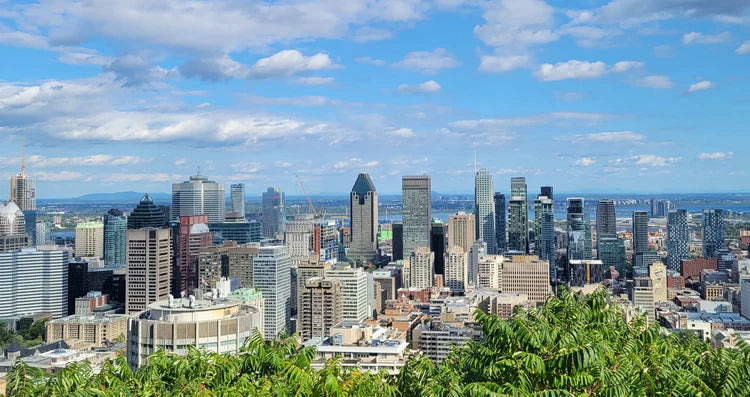Indoor Plant Delivery in Montreal