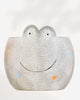 Colourful Animal Pot Frog