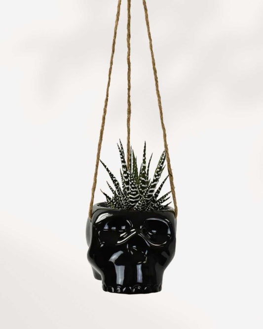 Haunted Hanging Skull Pot