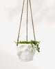 Haunted Hanging Skull Pot White