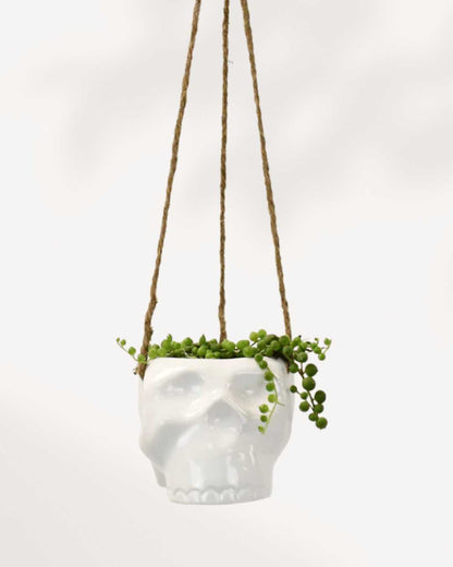 Haunted Hanging Skull Pot White