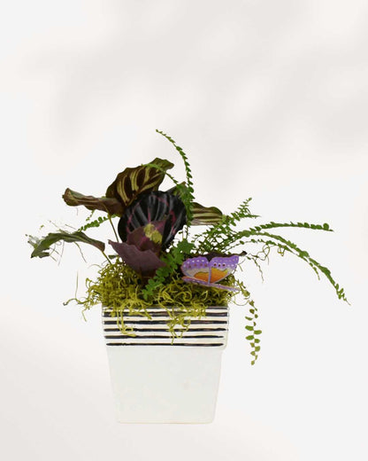 Large Bianca Tropical Arrangement Square
