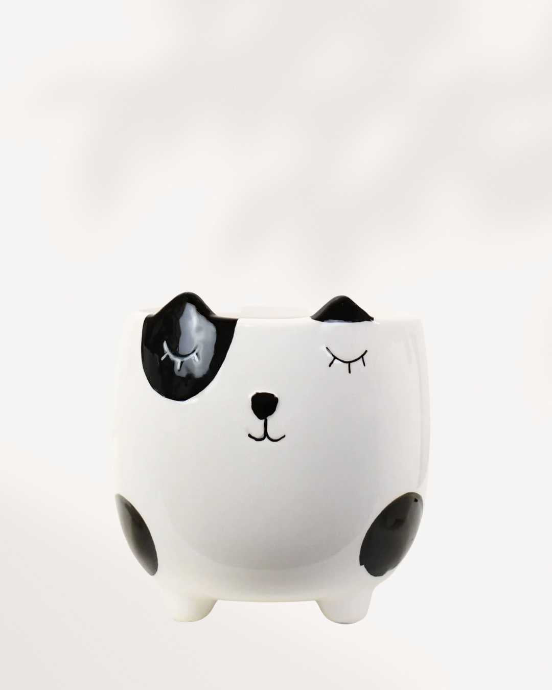 Animal Pot Collection Cat