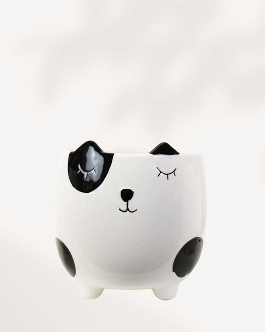 Animal Pot Collection Cat