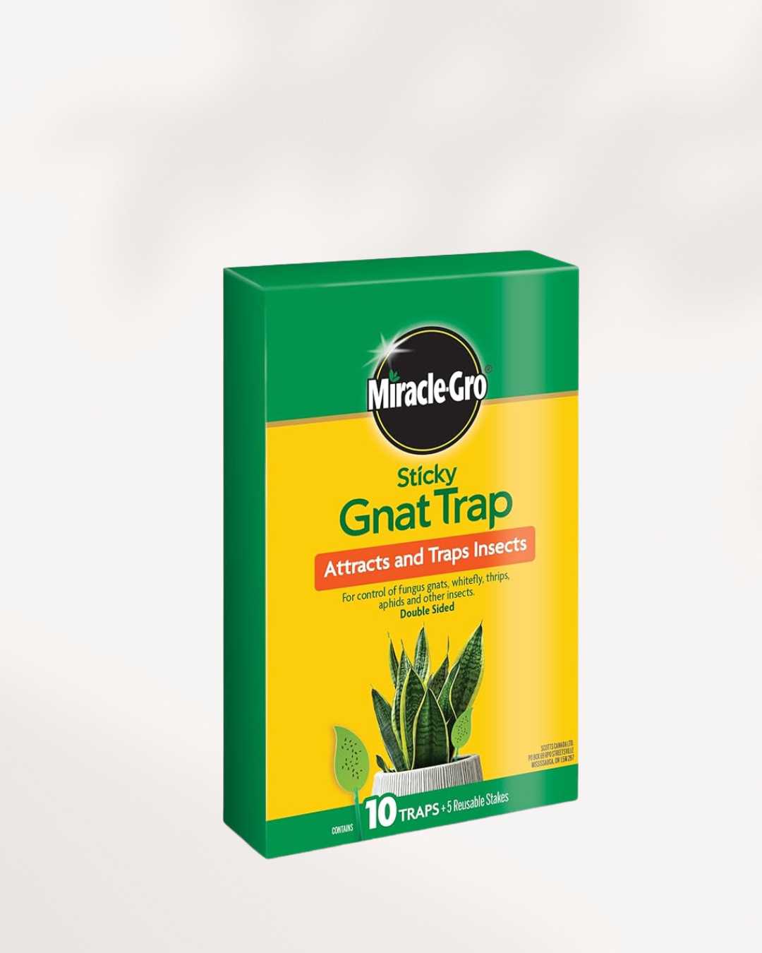 Miracle-Gro Sticky Gnat Trap | Buy Online
