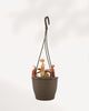 Nepenthes Sanguinea Pitcher Plant in 4" hanging basket front view buy online Canada.