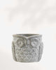 Otis the Owl Pot Small