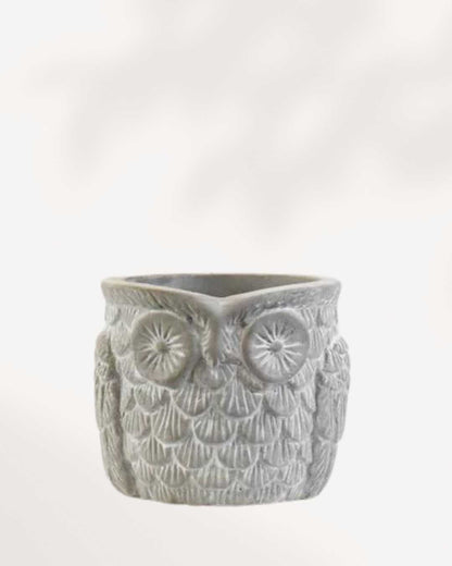 Otis the Owl Pot Small
