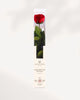 Red Preserved Rose Full Stem with Natural Velvet Petals, Luxury Long Lasting Rose Gift for Home Decor and Romantic Occasions