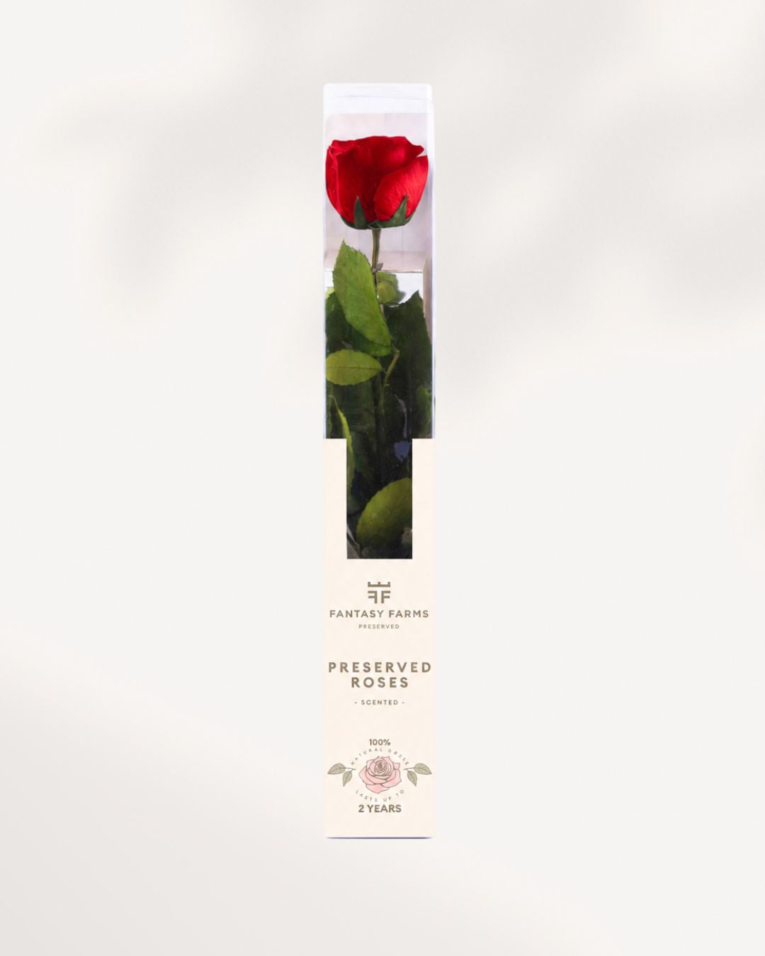 Red Preserved Rose Full Stem with Natural Velvet Petals, Luxury Long Lasting Rose Gift for Home Decor and Romantic Occasions