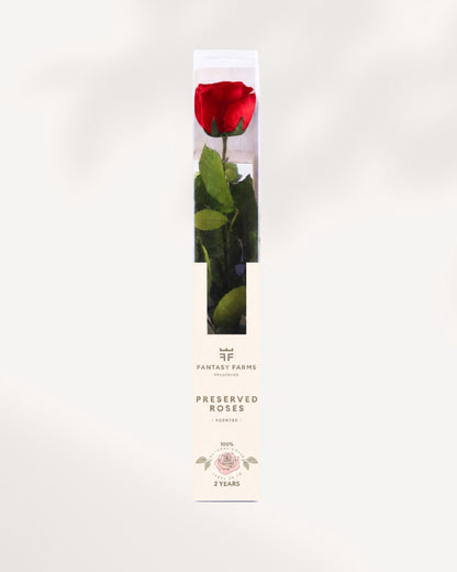 Red Preserved Rose Full Stem with Natural Velvet Petals, Luxury Long Lasting Rose Gift for Home Decor and Romantic Occasions