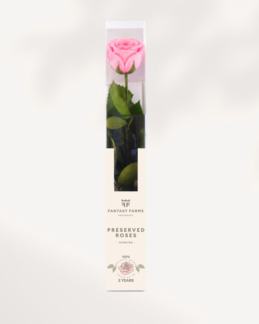 Baby Pink Preserved Rose Full Stem with Delicate Pastel Petals, Long Lasting Luxury Rose for Elegant Spaces