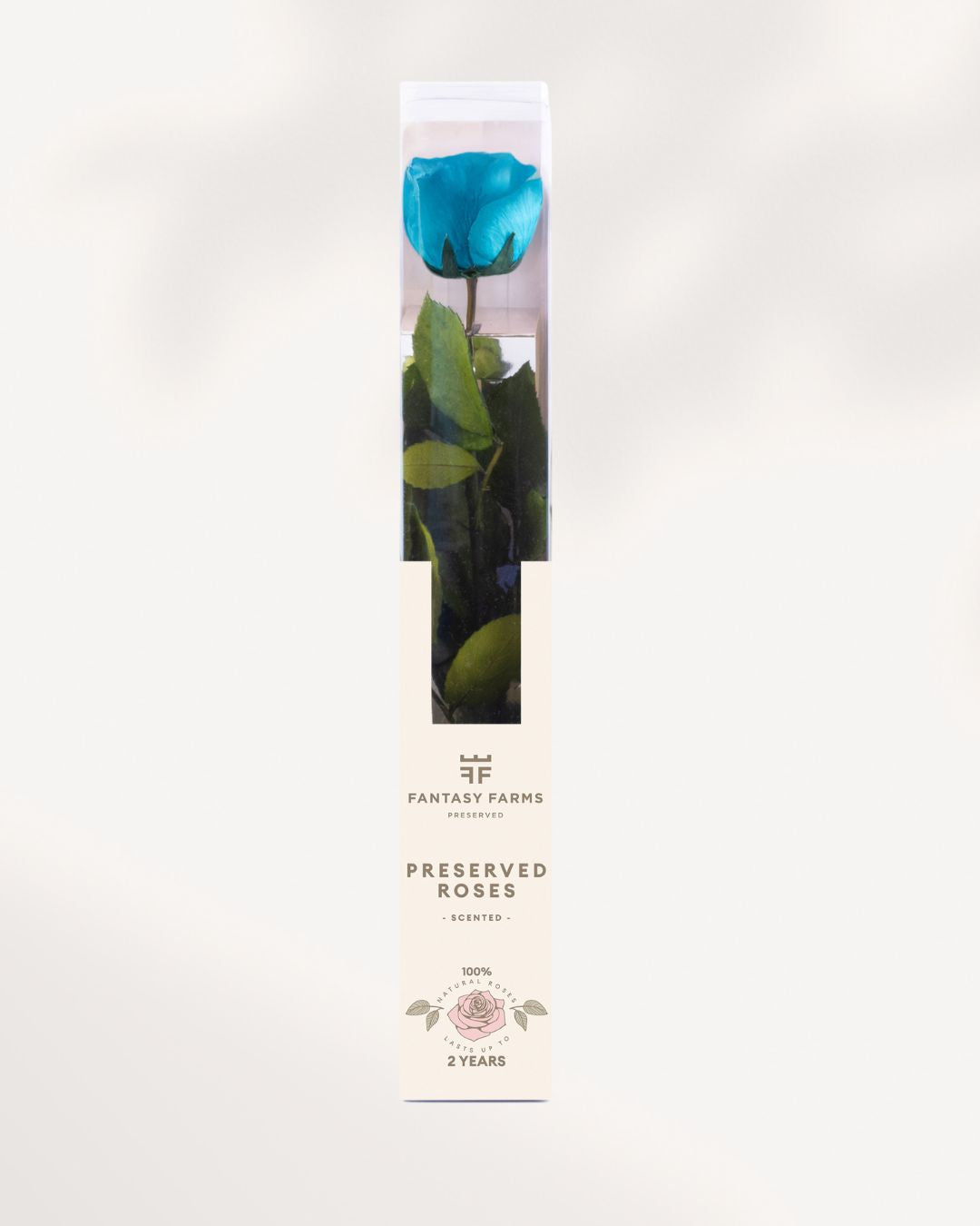 Blue Preserved Rose Full Stem with Deep Royal Petals, Unique Long Lasting Rose for Luxury Floral Displays