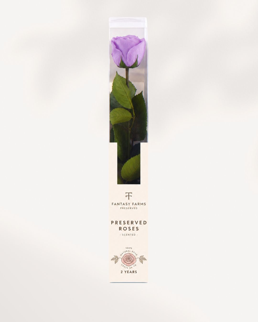 Lavender Preserved Rose Full Stem with Soft Purple Petals, Elegant Long Lasting Rose for Luxury Decor Ideas