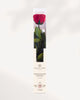 Hot Pink Preserved Rose Full Stem with Bold Vibrant Petals, Luxury Forever Rose for Stylish Floral Decor