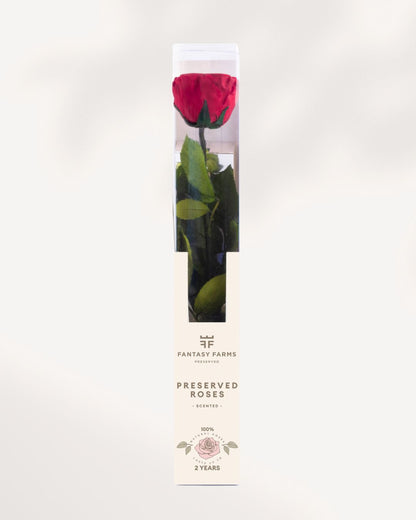 Hot Pink Preserved Rose Full Stem with Bold Vibrant Petals, Luxury Forever Rose for Stylish Floral Decor