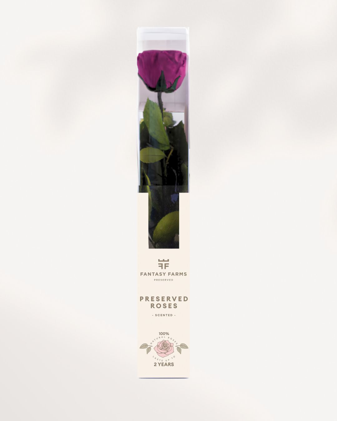 Plum Preserved Rose Full Stem with Deep Rich Purple Petals, Luxury Long Lasting Rose for Elegant Home Decor and Gift