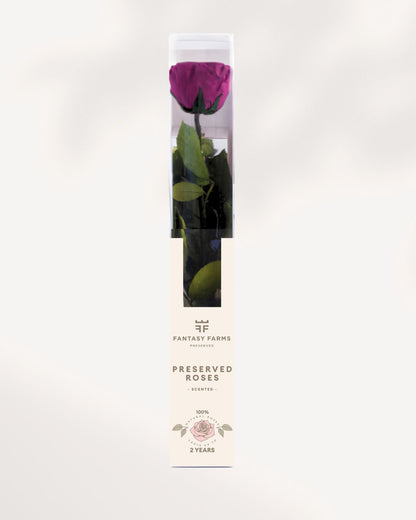 Plum Preserved Rose Full Stem with Deep Rich Purple Petals, Luxury Long Lasting Rose for Elegant Home Decor and Gift
