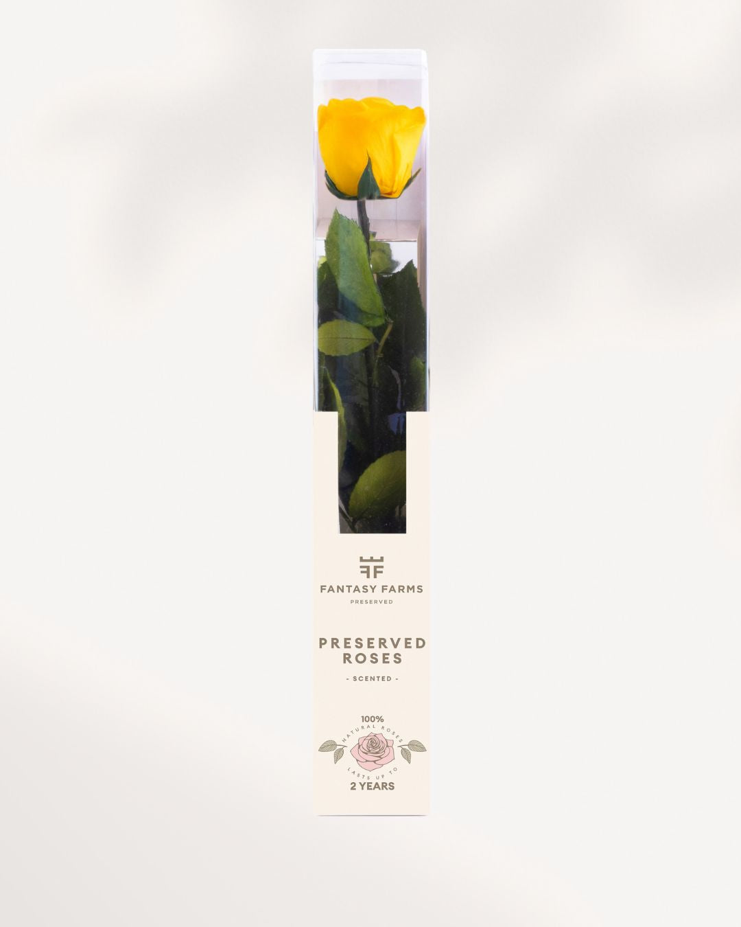 Yellow Preserved Rose Full Stem with Bright Natural Petals, Everlasting Rose for Cheerful Luxury Home Styling