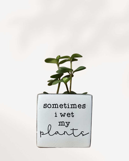 Punny Plant Pots sometimes i wet my plants