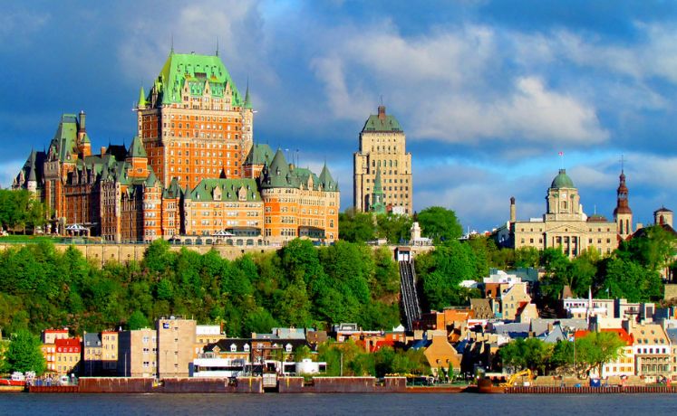 Indoor Plant Delivery in Quebec