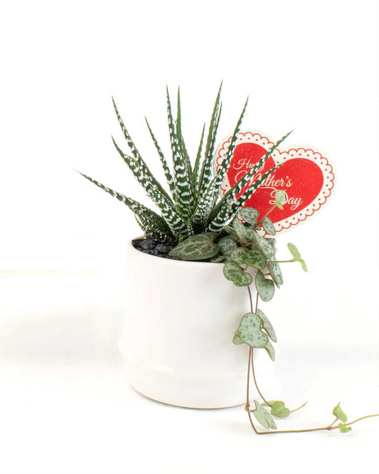 Small Elio Mother's Day Mini Garden 3.5" Pot - Small