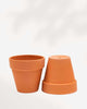 Rose Clay Terracotta Pot 2-Pack