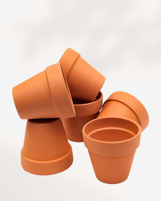Rose Clay Terracotta Pot 2-Pack