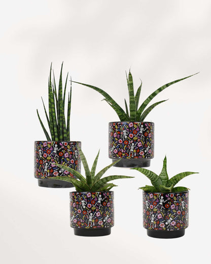 Day of the Dead Pot