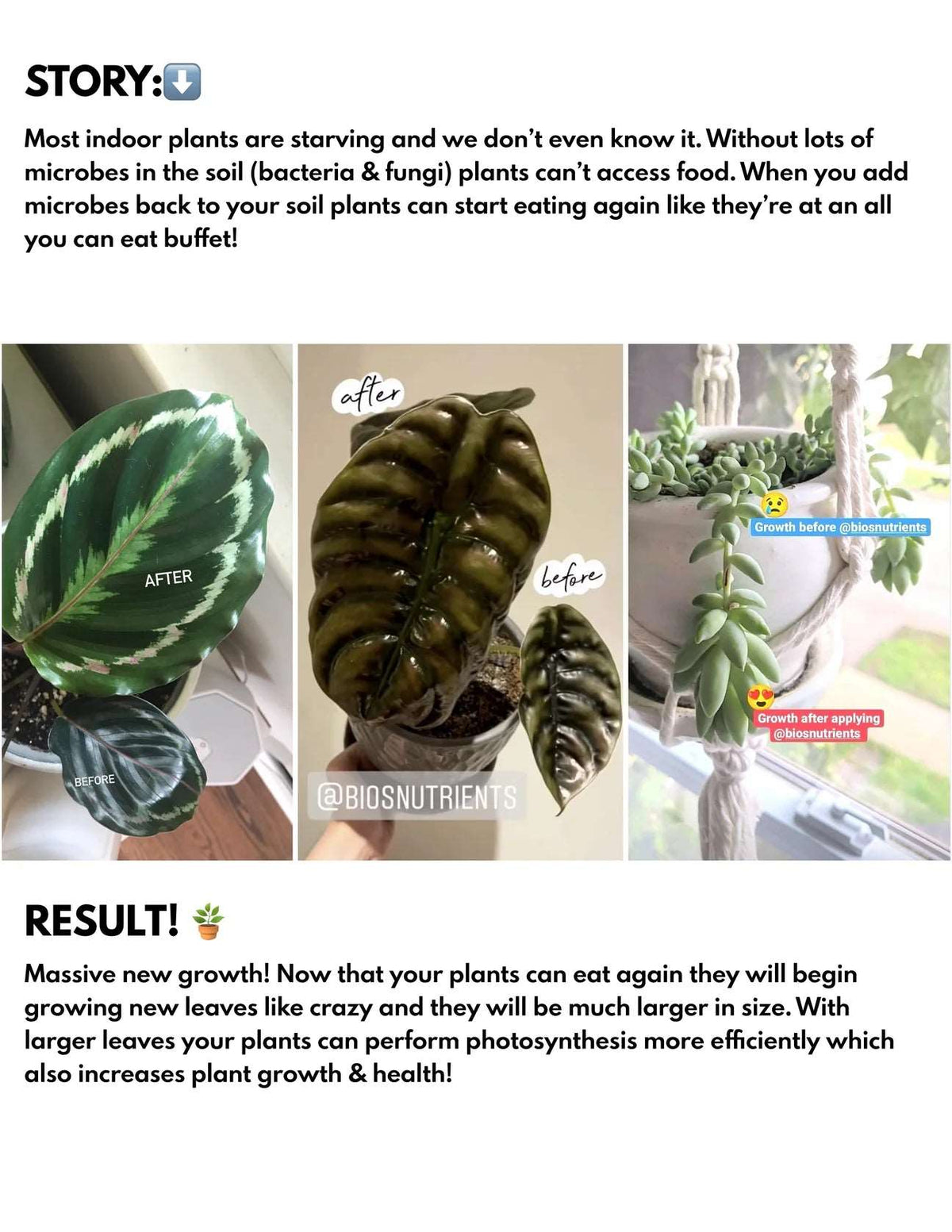 Bios Natural Plant Fertilizer