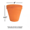 Rose Clay Terracotta Pot