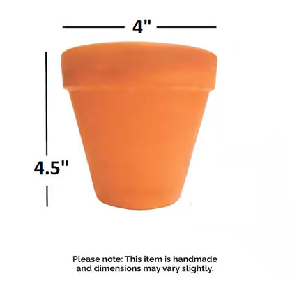 Rose Clay Terracotta Pot