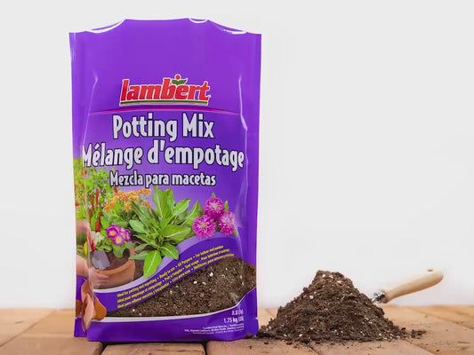 8.8L All Purpose Potting Mix Potting Soil